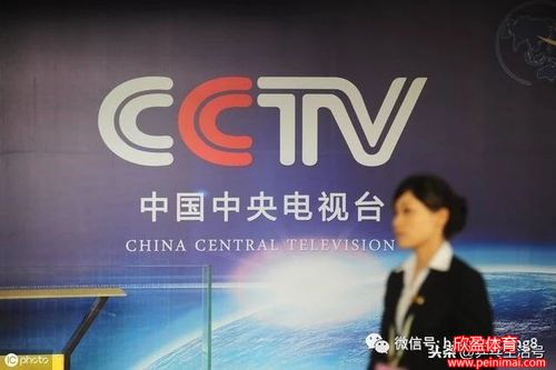 cctv5十在线直播(CCTV5十在线直播高清观看)