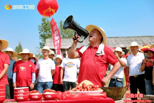 湖南卫视在线直播放(湖南卫视在线视频直播)